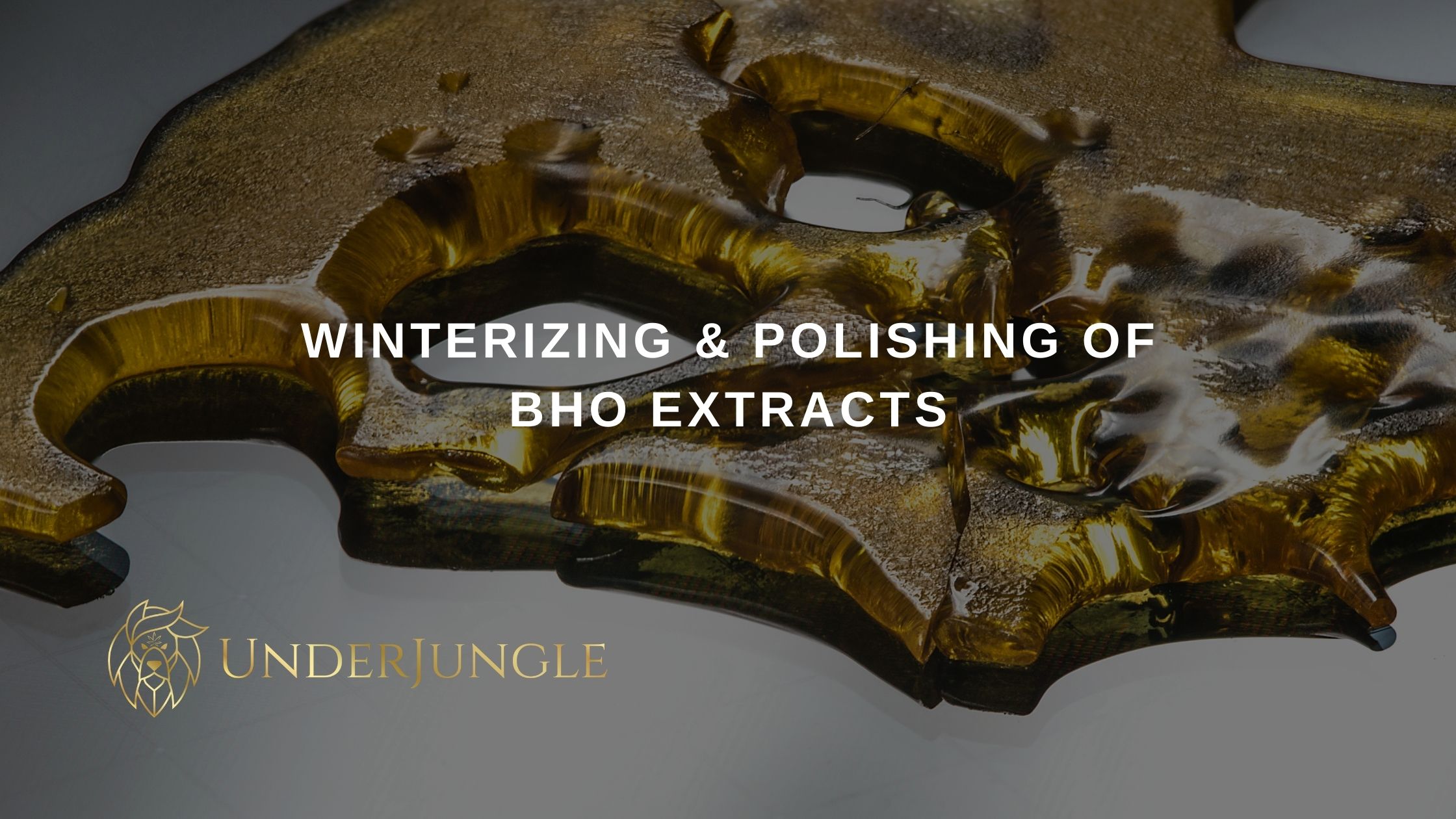 Winterizing & Polishing of BHO Extracts UnderJungle